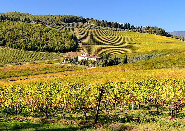 Chianti winter time tour from Florence