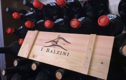 Winery I Balzini