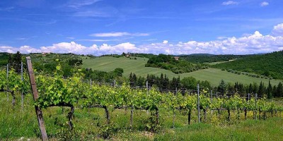Top 5 Italian Wine Routes 