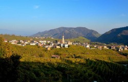 Vineyards in Prosecco wine region
