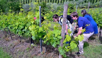 3-Day Tuscany Wine Tours - private_package Wine Tour