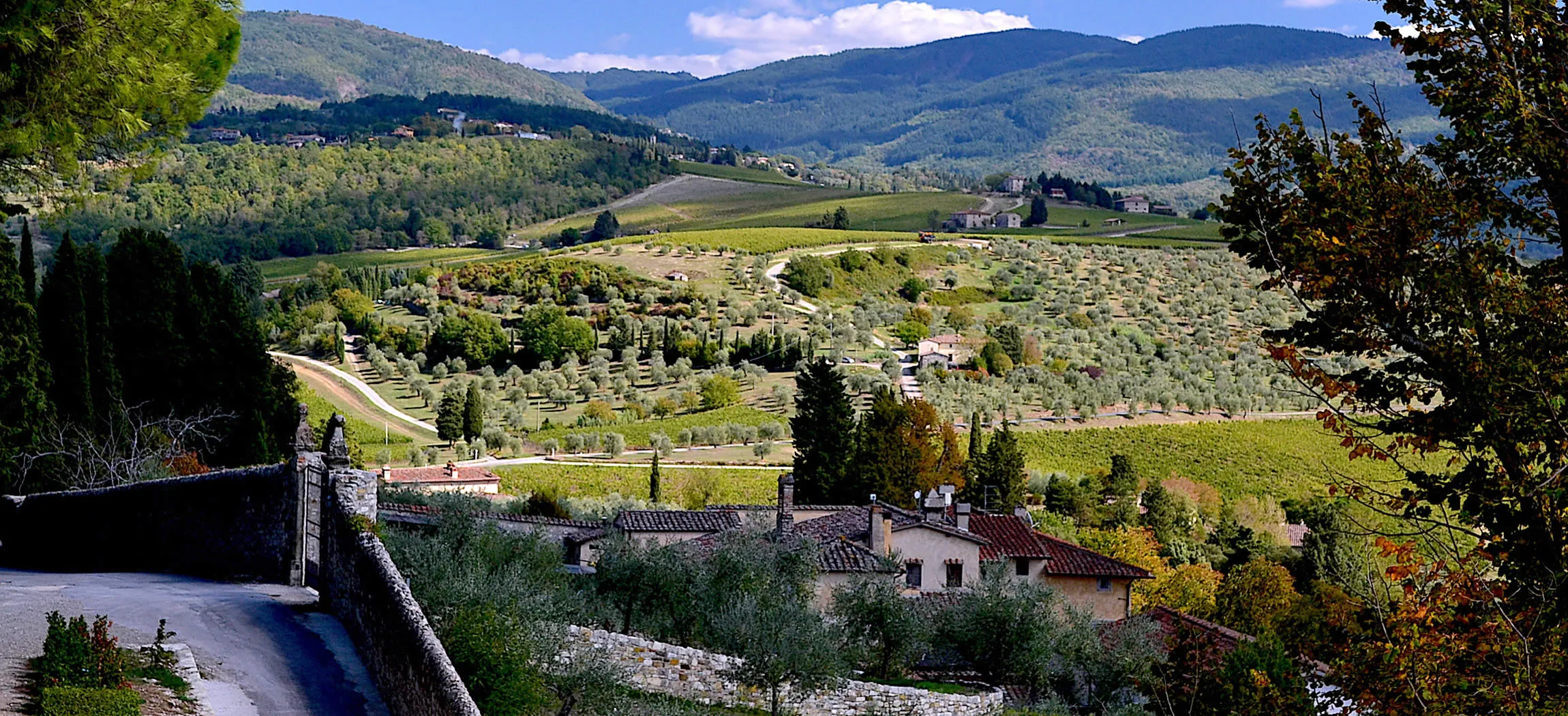 Tuscan vineyard landscape