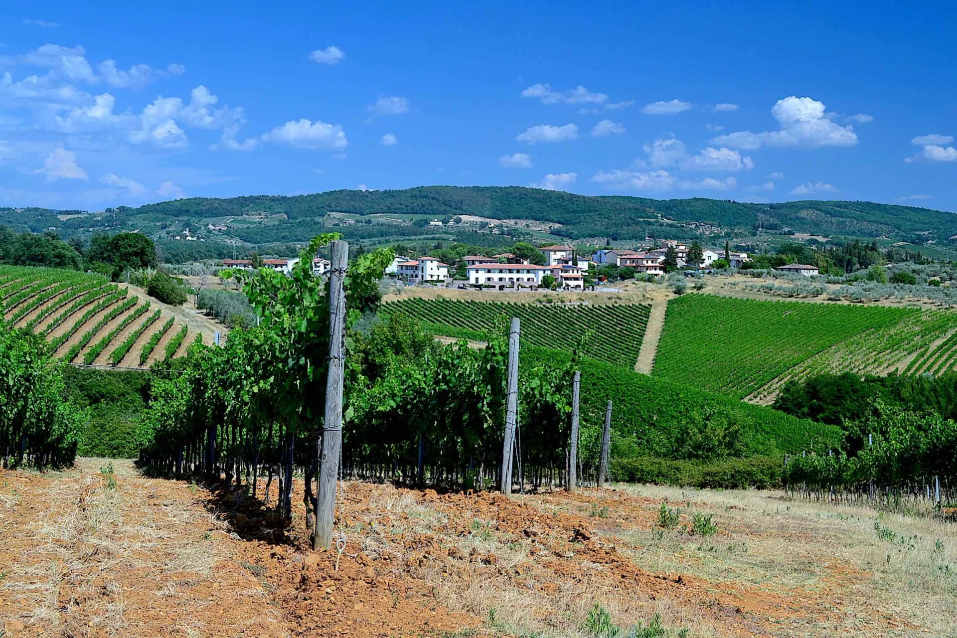 Vineyards and countryside in Chianti, Tuscany