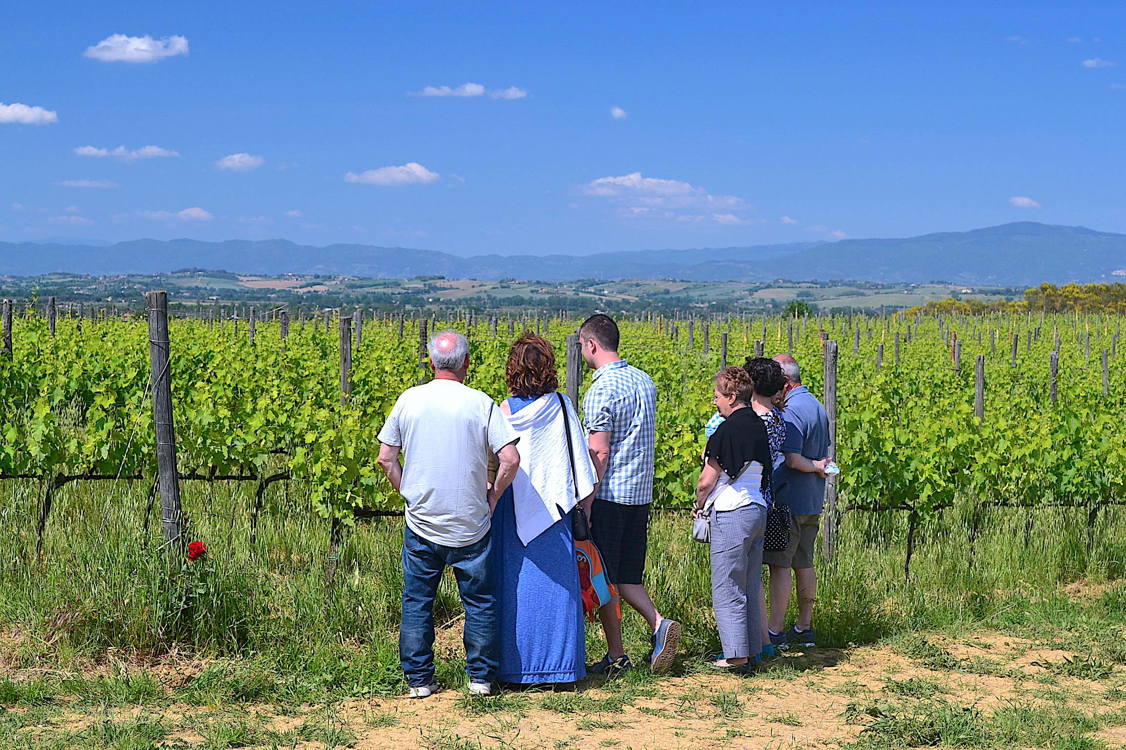 Nobile di Montepulciano wine tour