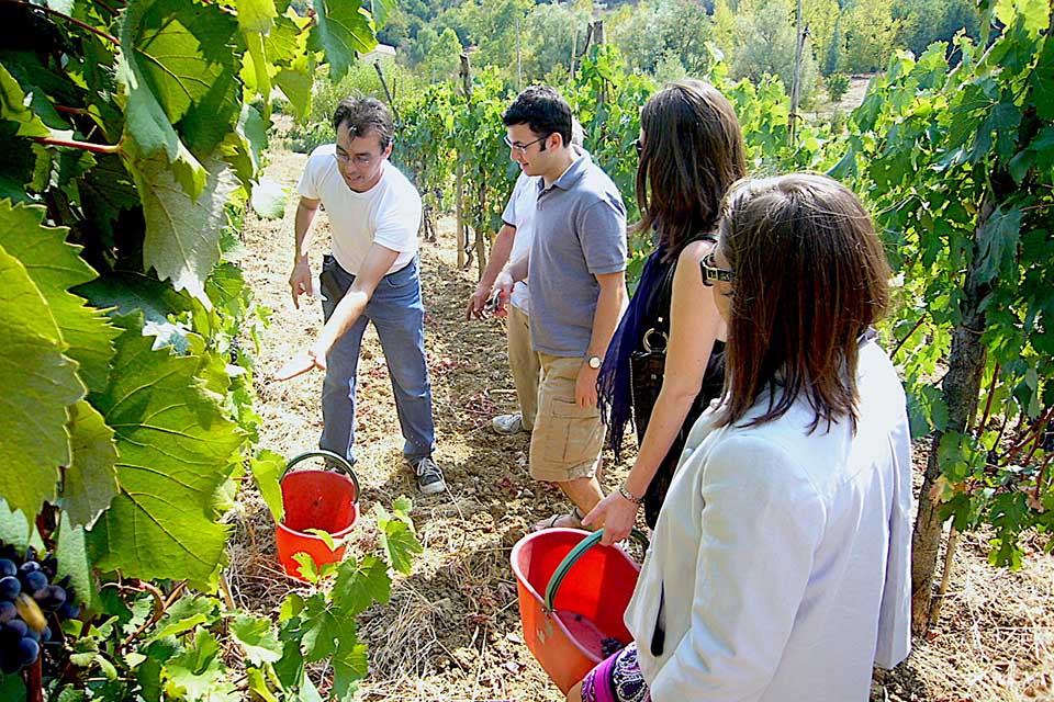 Chianti wine road map