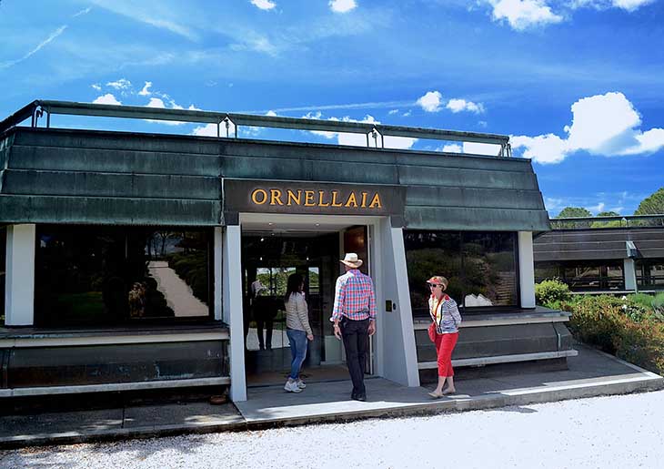 Bolgheri wine tour