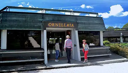 Bolgheri Wine Tour - private Wine Tour