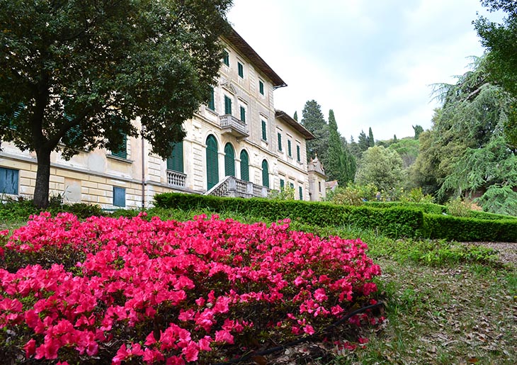 Chianti Rufina Wine Tour