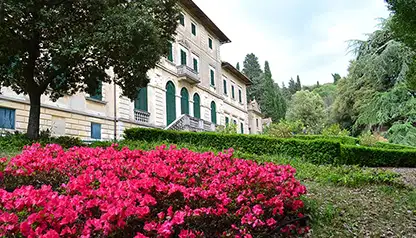 Chianti Rufina Wine Tour - private Wine Tour