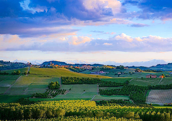 Barbaresco wine tours from Milan