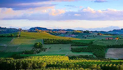 Barbaresco Wine Tour - private Wine Tour