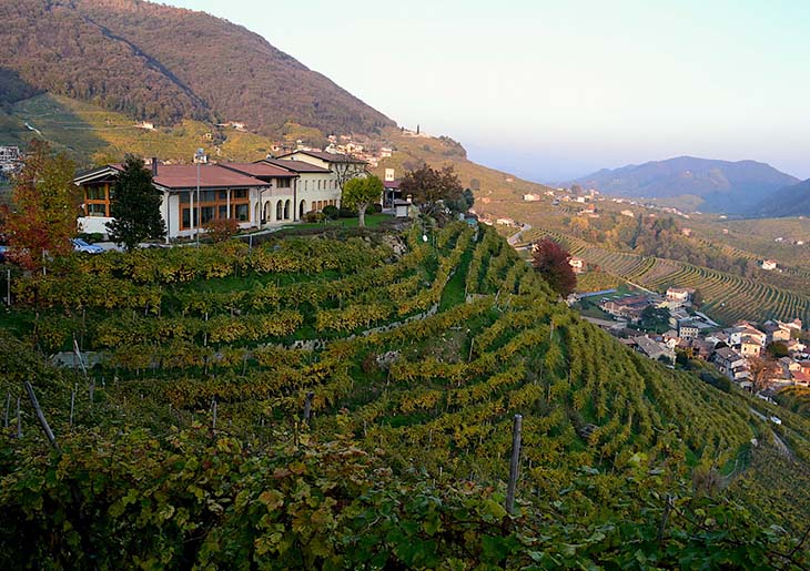 Prosecco wine tour from Venice