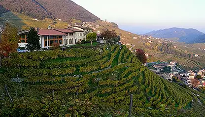 Prosecco Wine Tasting Tour - private Wine Tour