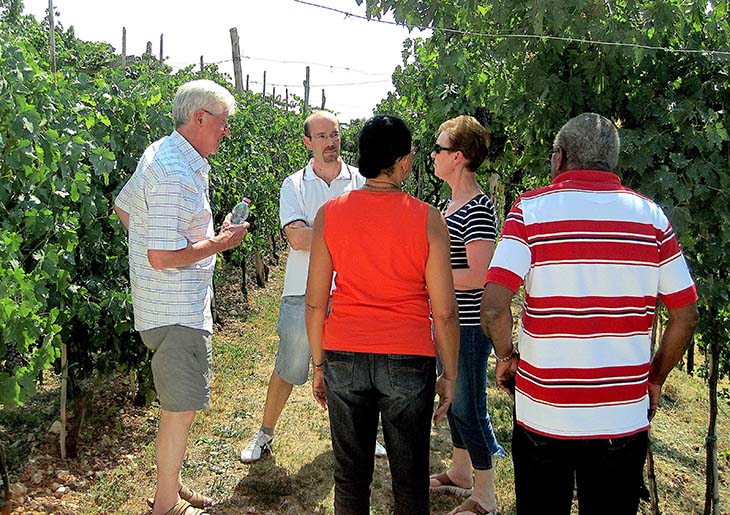 Amarone wine tour Private