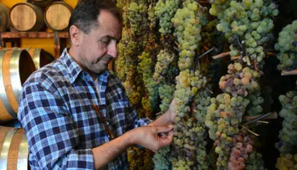 5-Days Private Wine Holiday in Tuscany  - private_package Wine Tour