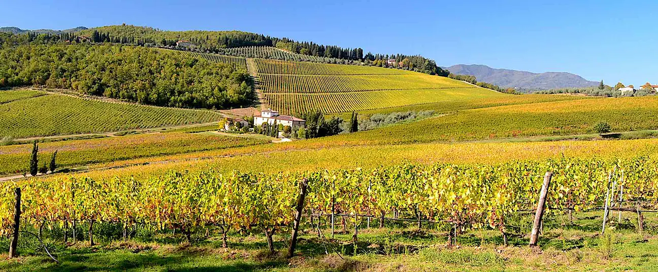 Three women strolling through the vineyards during a wine holiday in Tuscany