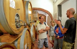 Wine tour in Chianti
