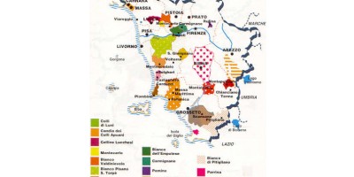 Pomino the highest wine region of Tuscany