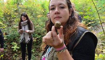 Truffle Hunting & Wine Tasting - shared Wine Tour