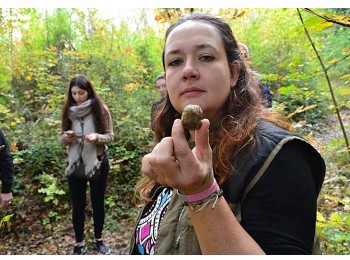 Truffle Hunting & Wine Tasting - shared  Wine Tour