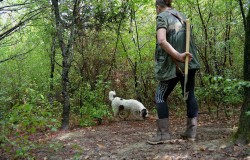 White truffles founding in a wood around San Miniato