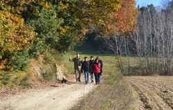 Truffle walking in the woods around San Miniato