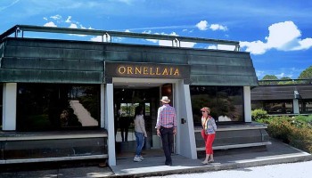 Bolgheri Wine Tour - private Wine Tour