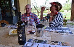 Wine tasting at Chiappini winery