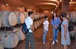 Cellar at Campo alla Sughera Bolgheri