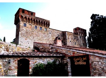 Castle and Chianti wine tour - private  Wine Tour