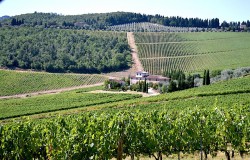 Wine tasting at castello del Trebbio