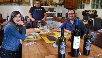 Chianti and Super Tuscan Wine Tour - private Wine Tour