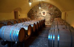 Bariques in the cellar of Poggio Casciano