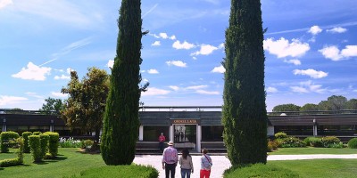 Bolgheri Wine Road