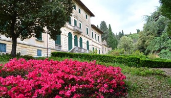 Chianti Rufina Day Tour - private Wine Tour