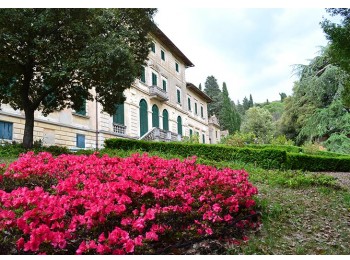 Chianti Rufina Day Tour - private  Wine Tour