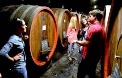 Tenuta Travignoli  a winery in Chianti Rufina