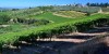 4 Day Tuscany Wine Tour