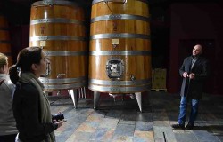 wine cellar with big oak cask