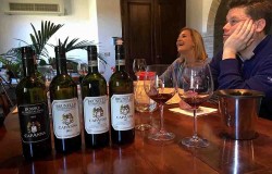 Wine tasting of Brunello di Montalcino Docg