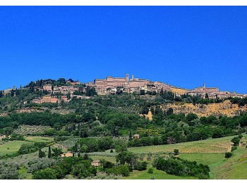 Wine Tour to Nobile di Montepulciano - private  Wine Tour