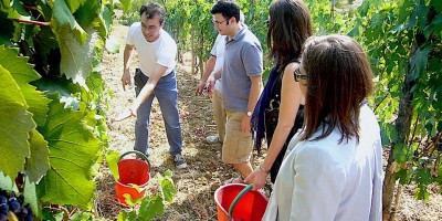 Chianti Wine Road Map 