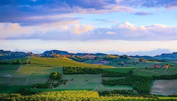 Barbaresco Wine Tours - private Wine Tour