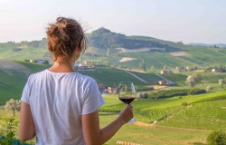 Barolo wine tasting