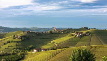 Barolo Wine Tours - private Wine Tour