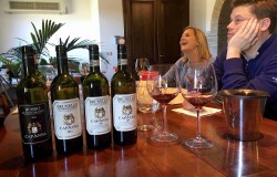 Wine tasting in a winery in Montalcino