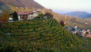 Prosecco Wine Tour - private Wine Tour