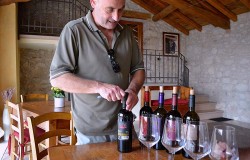 Wine tasting of Amarone wine