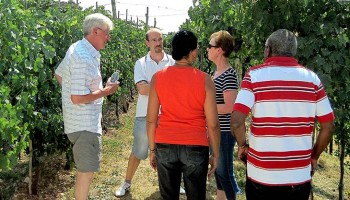 Valpolicella & Amarone Wine Tour - private Wine Tour