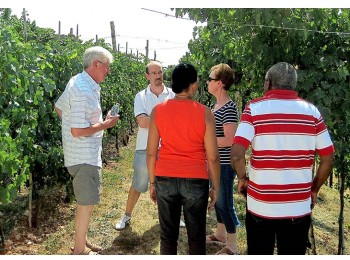 Valpolicella & Amarone Wine Tour - private  Wine Tour